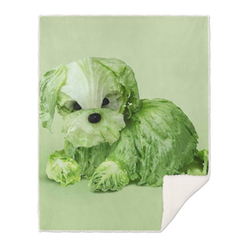 cabbage dog
