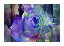 The Rose Of Snow White - Blue Purple