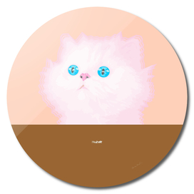 Pink Cat on Chocolate Background