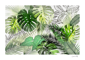 Tropical Foliage 01