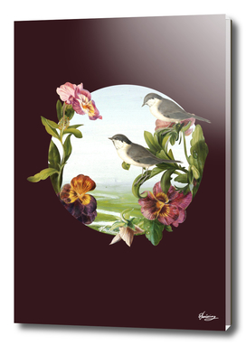 Orchids and Birds
