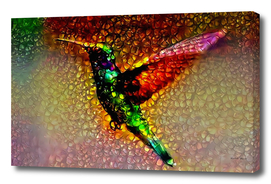 Ornamental Hummingbird
