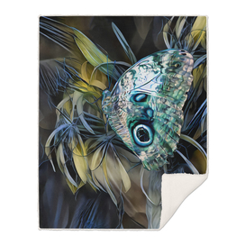 Abalone Butterfly