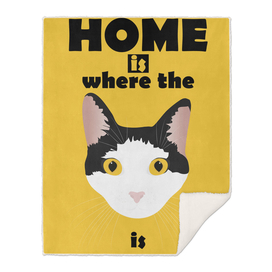 home is where the cat is