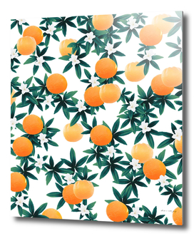 Orange Twist Flower Vibes #2 #tropical #fruit #decor #art