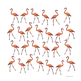 Pink flamingo pattern