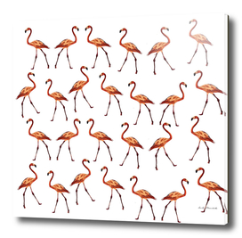 Pink flamingo pattern