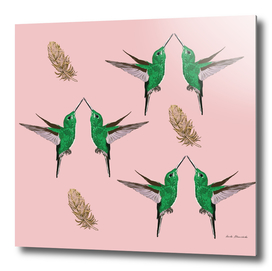 Green Hummingbirds golden Fetahres