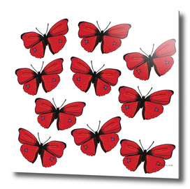 Red butterflies