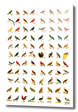 88 of Georges-Louis Leclercs' Birds