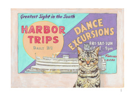Harbor trips