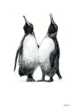Twin penguins