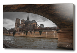 Paris Notredame under the bridge