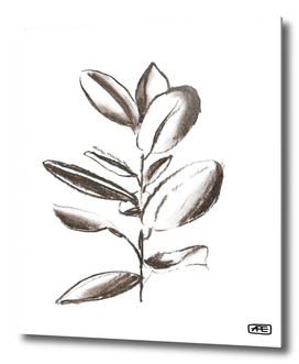 Charcoal branch