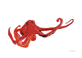 Red octops