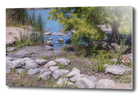 Beautiful rustic stones near lake shore water