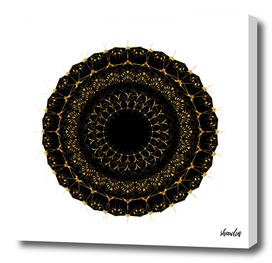 Golden radial mandala ornament on black