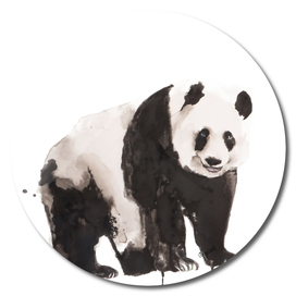 Print of a panda, special animal illustration