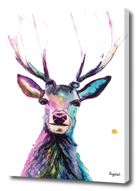 Print of a deer, special bird, forest animal illustration