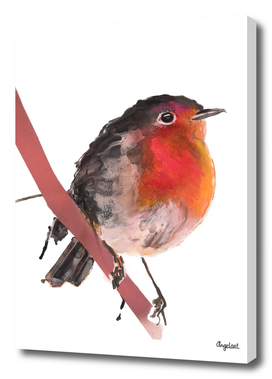 Robin robin special bird illustration