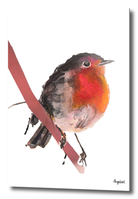 Robin robin special bird illustration