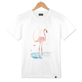Flamingo special bird illustration