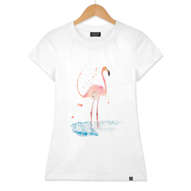 Flamingo special bird illustration