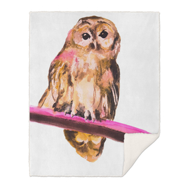 Owl special bird illustration