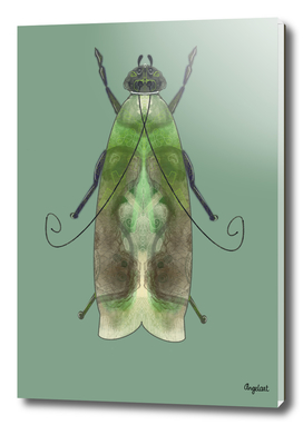 Green moth on green background