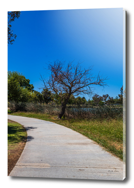 footpath in the park to walk near lake front