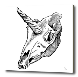 Unicorn Skull