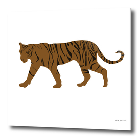 Brown Tiger