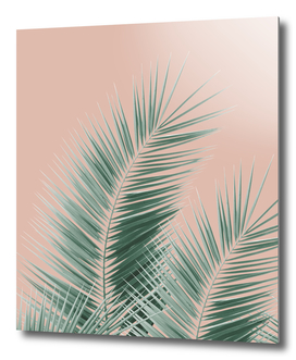 Soft Green Palm Leaves Dream - Cali Summer Vibes #1