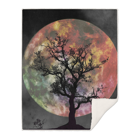 full moon silhouette tree night