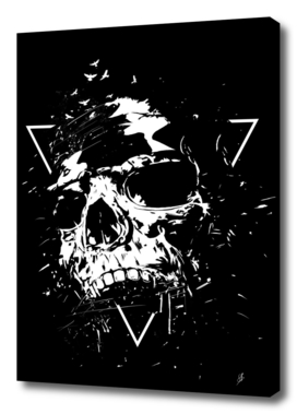 Skull X (bw)
