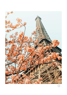 Paris in Spring | Travel Photography Eifel Tower | Wonder