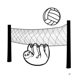 sloth volleyball game sport animal