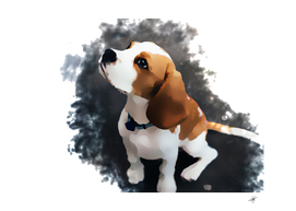 dog watercolor animal artistic