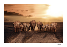 elephant dust road africa savannah