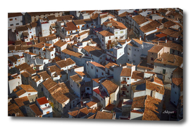 roofs ceilings houses