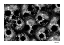 skull crossbones skeleton