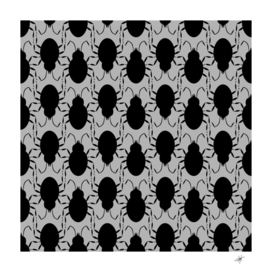 pattern beetle insect black grey