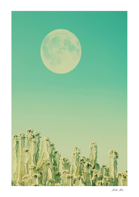 Moon over Cacti