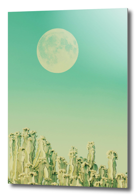 Moon over Cacti