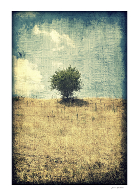 Tree on a yellow summer hill grunge vintage landscape