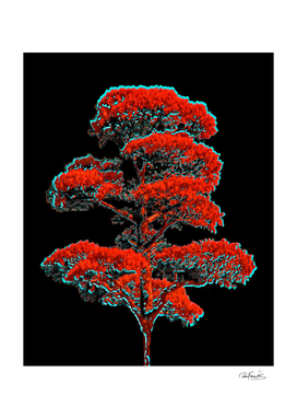 Tree Artwork Illustration