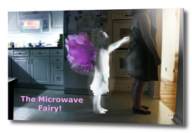 The Microwave Fairy