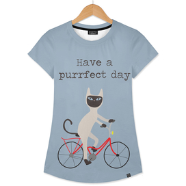 Siamese cat on bicycle