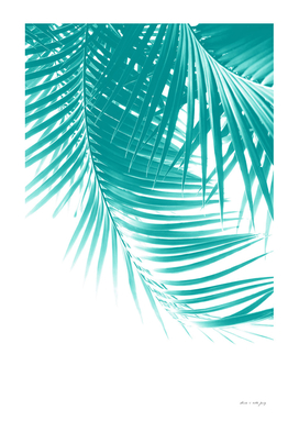 Palm Leaves Soft Turquoise Summer Vibes #1 #tropical #decor