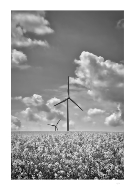 Wind Turbines-France_DSF3959